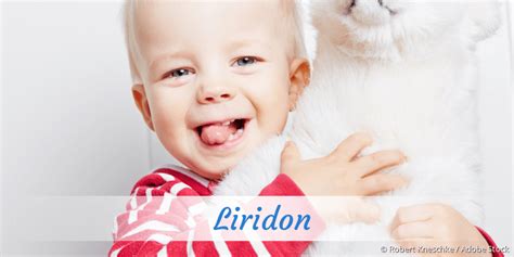 liridon|liridon meaning in english.